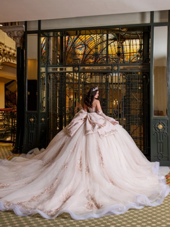 Perfect Dress 15 Style #AG383 #8 backface vertical thumbnail