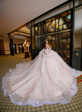 Perfect Dress 15 Style #AG383 #10 backface vertical thumbnail