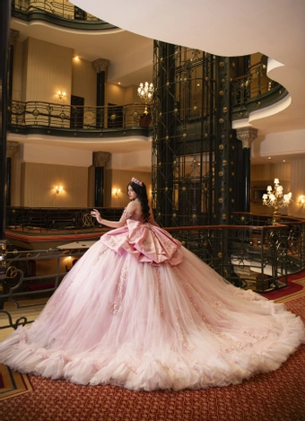 Perfect Dress 15 Style #AG384 #14 backface vertical thumbnail