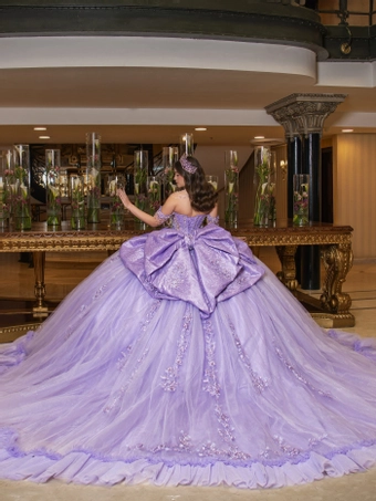 Perfect Dress 15 Style #AG384 #16 backface vertical thumbnail