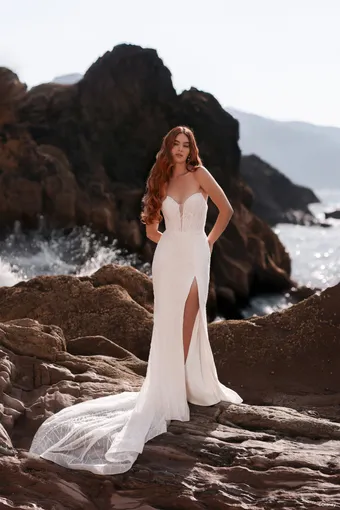 Disney Fairy Tale Weddings Style #D460 #2 frontface vertical thumbnail