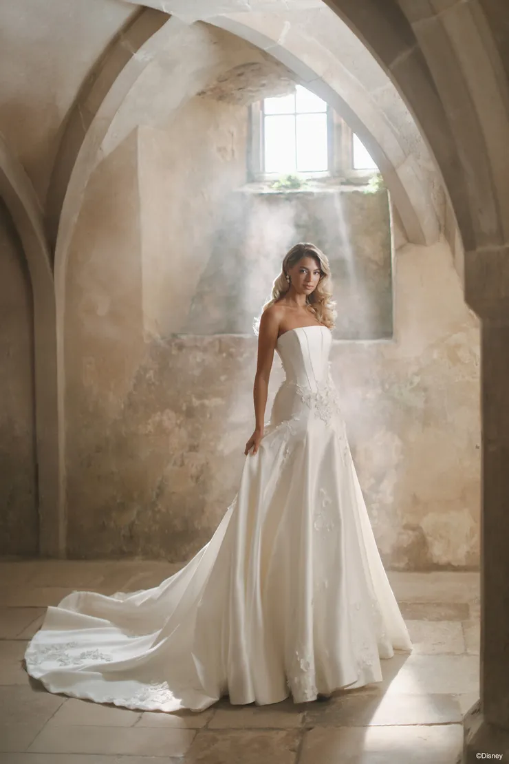 Disney Fairy Tale Weddings #D461 Default Thumbnail Image