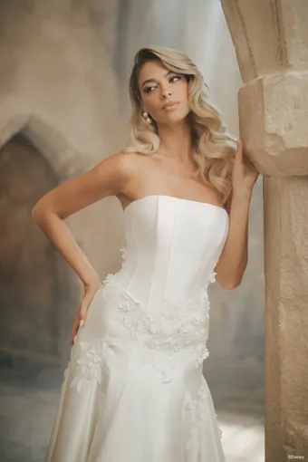 Disney Fairy Tale Weddings Style #D461 #1 frontface vertical thumbnail