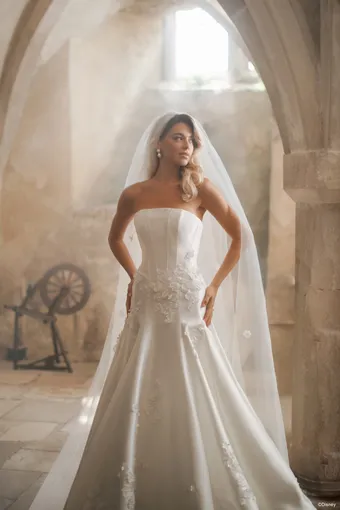 Disney Fairy Tale Weddings Style #D461 #9 frontface vertical cropped thumbnail