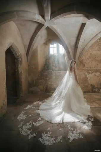 Disney Fairy Tale Weddings Style #D461 #7 backface vertical thumbnail