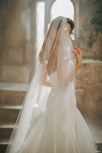 Disney Fairy Tale Weddings Style #D461 #11 backface vertical cropped thumbnail