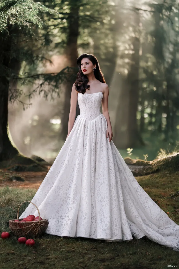 Disney Fairy Tale Weddings #D467 Default Thumbnail Image