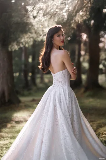 Disney Fairy Tale Weddings Style #D467 #13 backface vertical cropped thumbnail