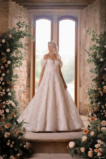 Disney Fairy Tale Weddings Style #DP451 #0 default frontface vertical thumbnail