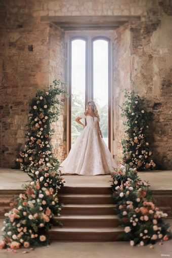 Disney Fairy Tale Weddings Style #DP451 #1 frontface vertical thumbnail