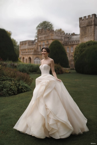 Disney Fairy Tale Weddings Style #DP452 #2 frontface vertical thumbnail