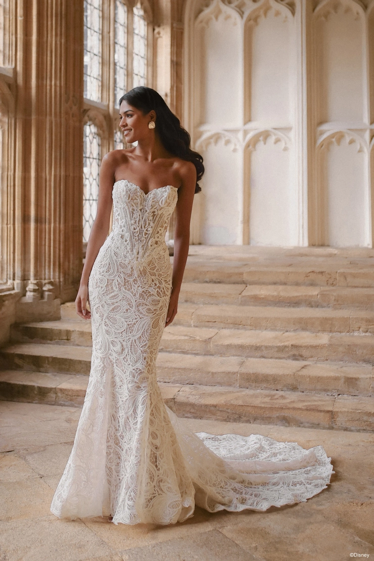 Disney Fairy Tale Weddings #DP454 Default Thumbnail Image