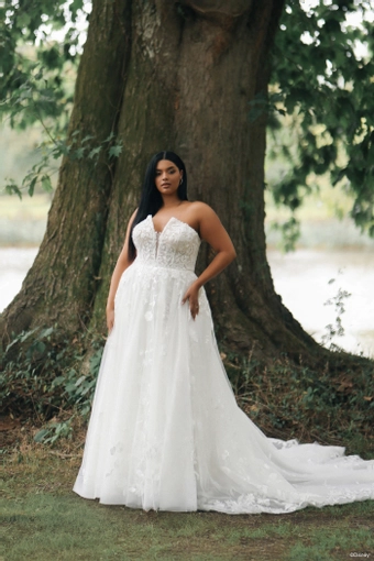 Disney Fairy Tale Weddings Style #DP455 #2 frontface vertical thumbnail