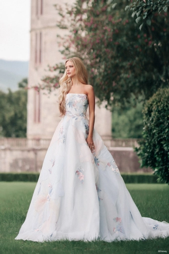 Disney Fairy Tale Weddings Style #DP456 #0 default frontface vertical thumbnail