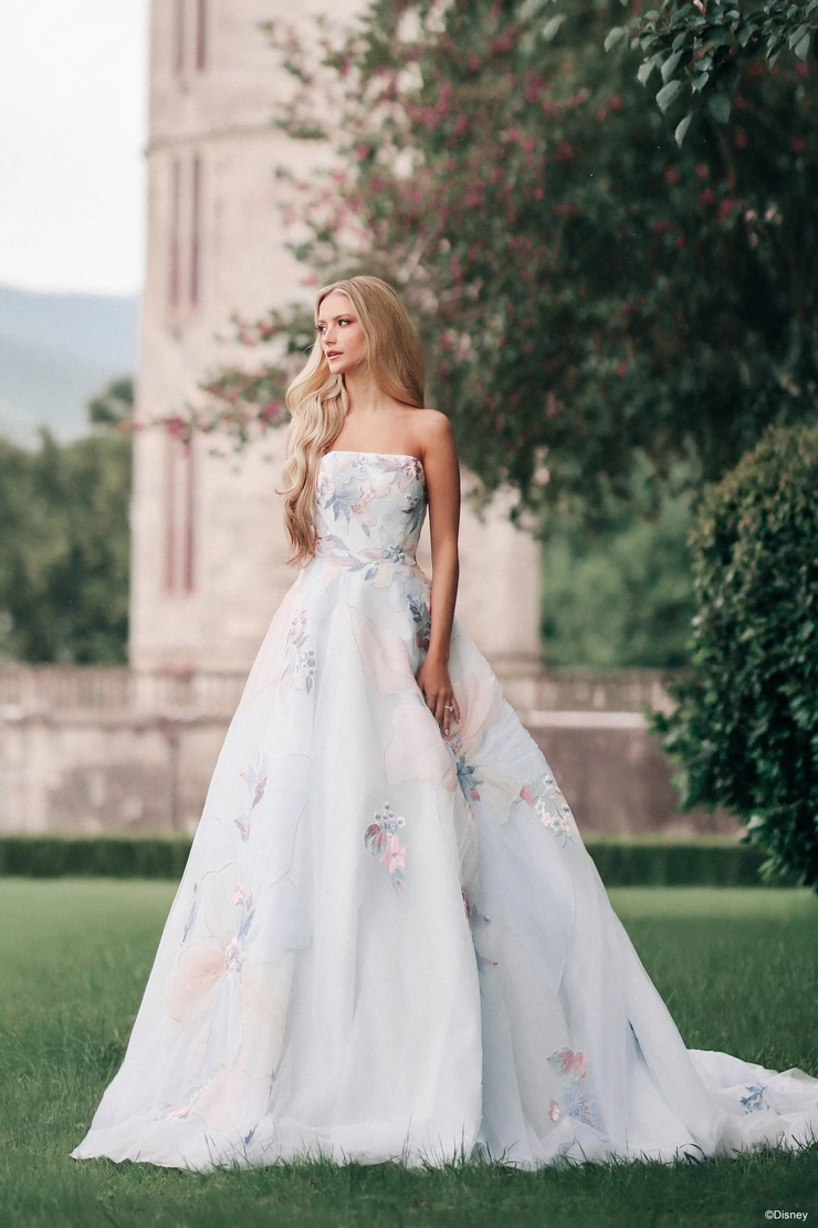 Disney Fairy Tale Weddings #DP456 Default Thumbnail Image