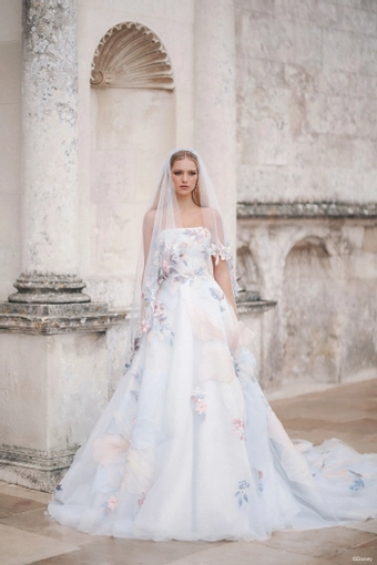 Disney Fairy Tale Weddings Style #DP456 #3 frontface vertical thumbnail