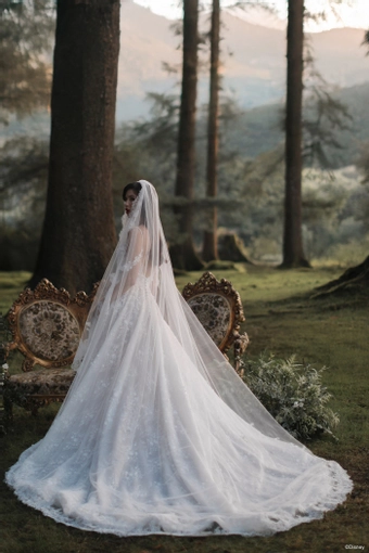 Disney Fairy Tale Weddings Style #DP457 #12 backface vertical thumbnail