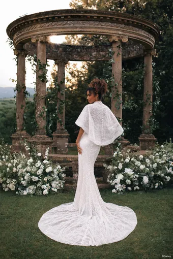 Disney Fairy Tale Weddings Style #DP458 #10 backface vertical thumbnail