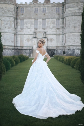 Disney Fairy Tale Weddings Style #D473 #3 backface vertical thumbnail