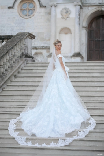 Disney Fairy Tale Weddings Style #D473 #5 backface vertical thumbnail