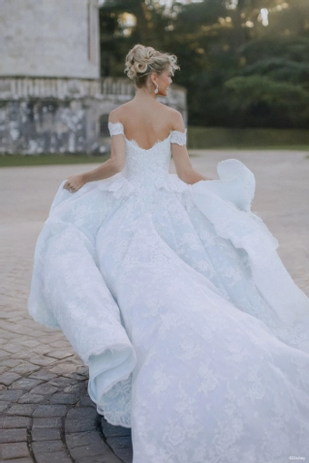 Disney Fairy Tale Weddings Style #D473 #12 backface vertical cropped thumbnail