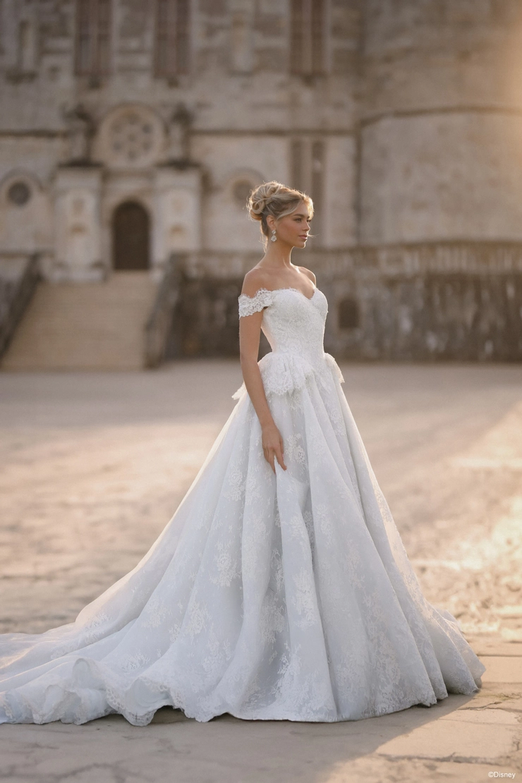 Disney Fairy Tale Weddings #D473 Default Thumbnail Image