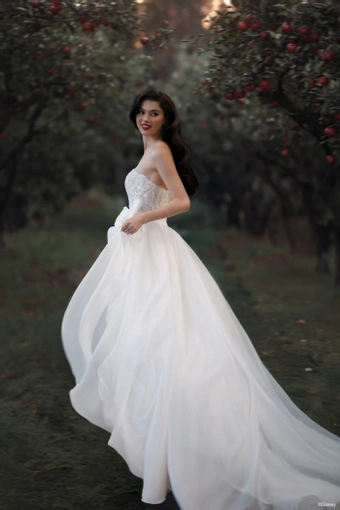 Disney Fairy Tale Weddings Style #D477T #3 vertical thumbnail