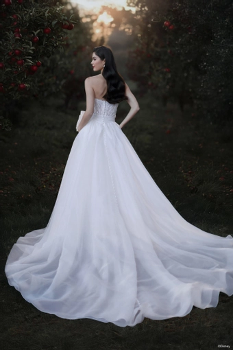 Disney Fairy Tale Weddings Style #D477T #4 default backface vertical thumbnail