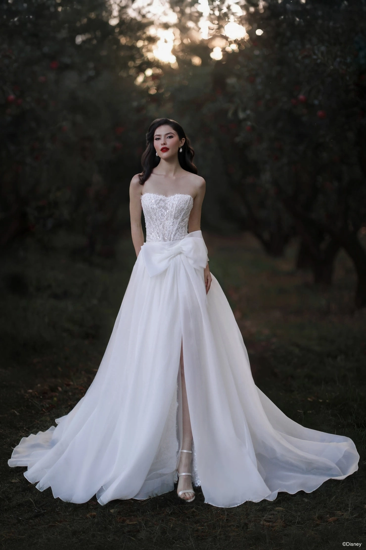 Disney Fairy Tale Weddings #D477T Default Thumbnail Image