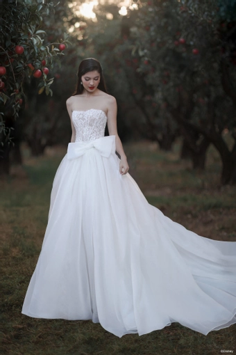 Disney Fairy Tale Weddings Style #D477T #2 frontface vertical thumbnail