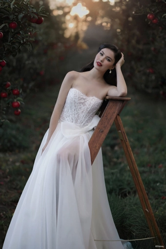 Disney Fairy Tale Weddings Style #D477T #5 frontface vertical cropped thumbnail