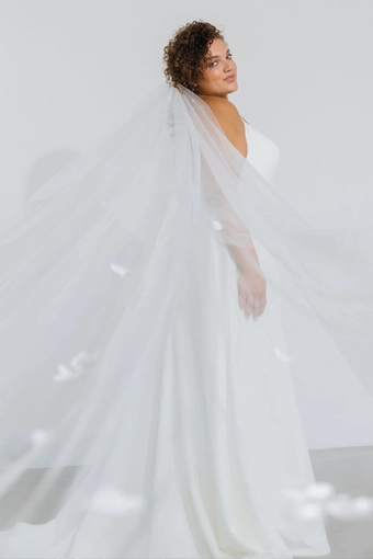 Jenny Yoo V12052 Gabriel Veil #3 vertical thumbnail