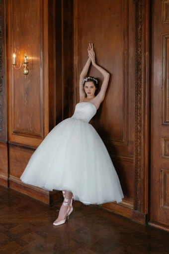 Sareh Nouri Neda $2 frontface vertical thumbnail