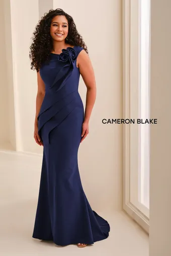 Cameron Blake #CB448 $3 Blue Willow frontface vertical thumbnail