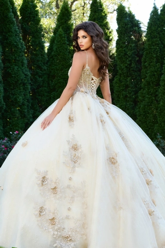 Jovani Q44559 #3 backface vertical cropped thumbnail