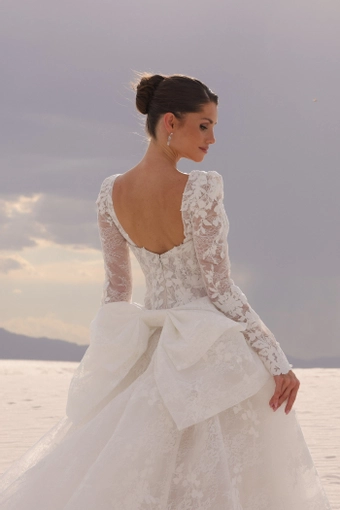 JH Bridal by Jimme Huang Style #Harmony #6 backface vertical cropped thumbnail