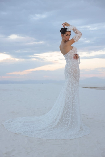 JH Bridal by Jimme Huang Style #Morgana #5 default backface vertical thumbnail