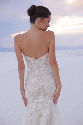 JH Bridal by Jimme Huang Style #Rosalinda #7 backface vertical cropped thumbnail