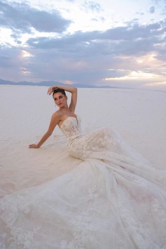 JH Bridal by Jimme Huang Style #Rosalinda #1 frontface vertical thumbnail