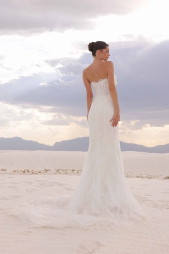 JH Bridal by Jimme Huang Style #Jemma #6 backface vertical thumbnail