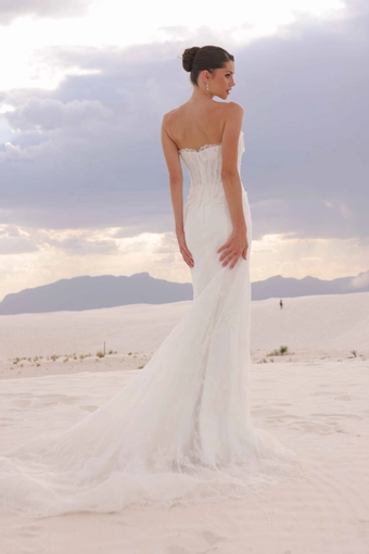 JH Bridal by Jimme Huang Style #Jemma #8 default backface vertical thumbnail