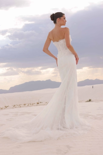 JH Bridal by Jimme Huang Style #Jemma #5 backface vertical thumbnail