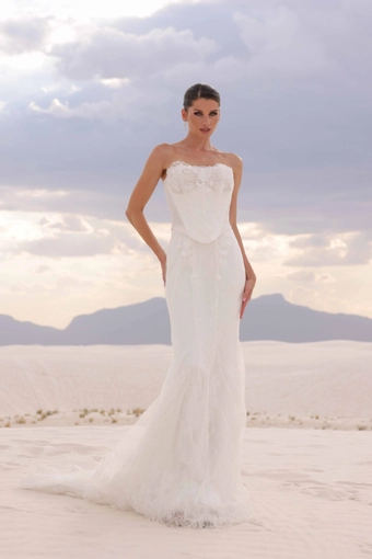 JH Bridal by Jimme Huang Style #Jemma #0 default frontface vertical thumbnail