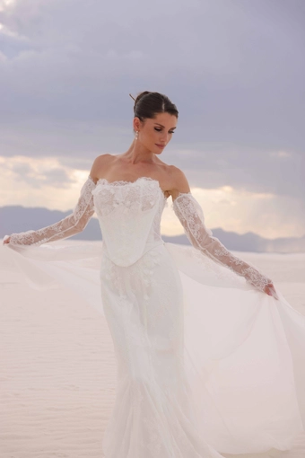 JH Bridal by Jimme Huang Style #Jemma #10 frontface vertical cropped thumbnail