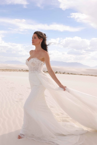 JH Bridal by Jimme Huang Style #Michi #1 frontface vertical thumbnail