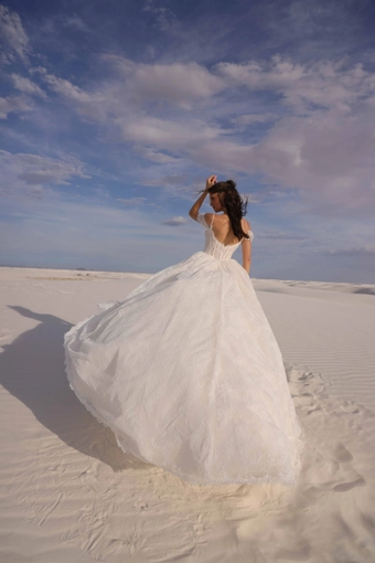 JH Bridal by Jimme Huang Style #Minako #4 backface vertical thumbnail