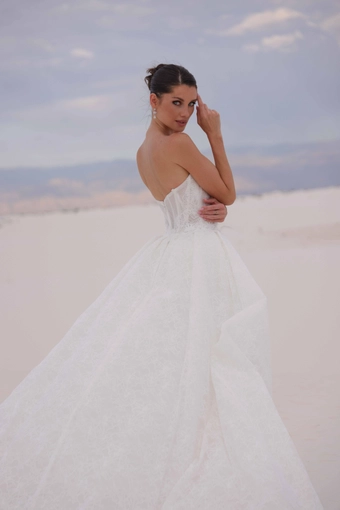 JH Bridal by Jimme Huang Style #Minori #8 backface vertical cropped thumbnail