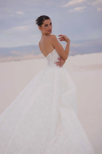 JH Bridal by Jimme Huang Style #Minori #7 backface vertical cropped thumbnail