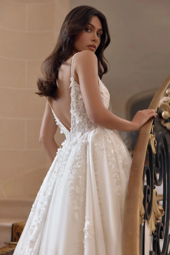 Nova Pollardi #3 backface vertical cropped thumbnail