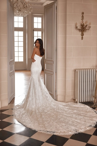 Roux Pollardi #2 backface vertical thumbnail